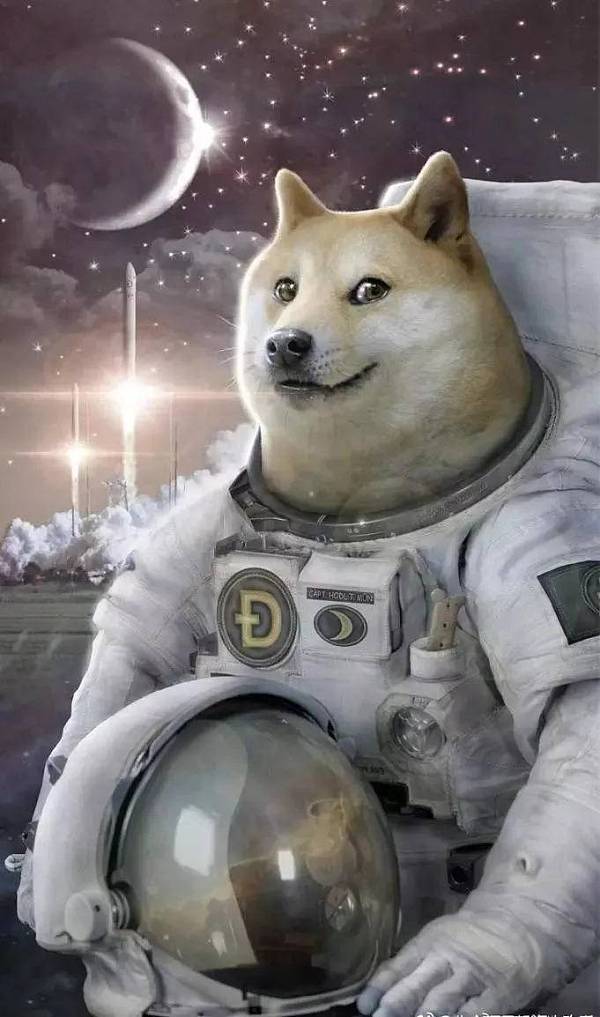 A vibrant illustration of Dogecoin mining rigs in action, symbolizing the community's energetic pursuit of blockchain profits
